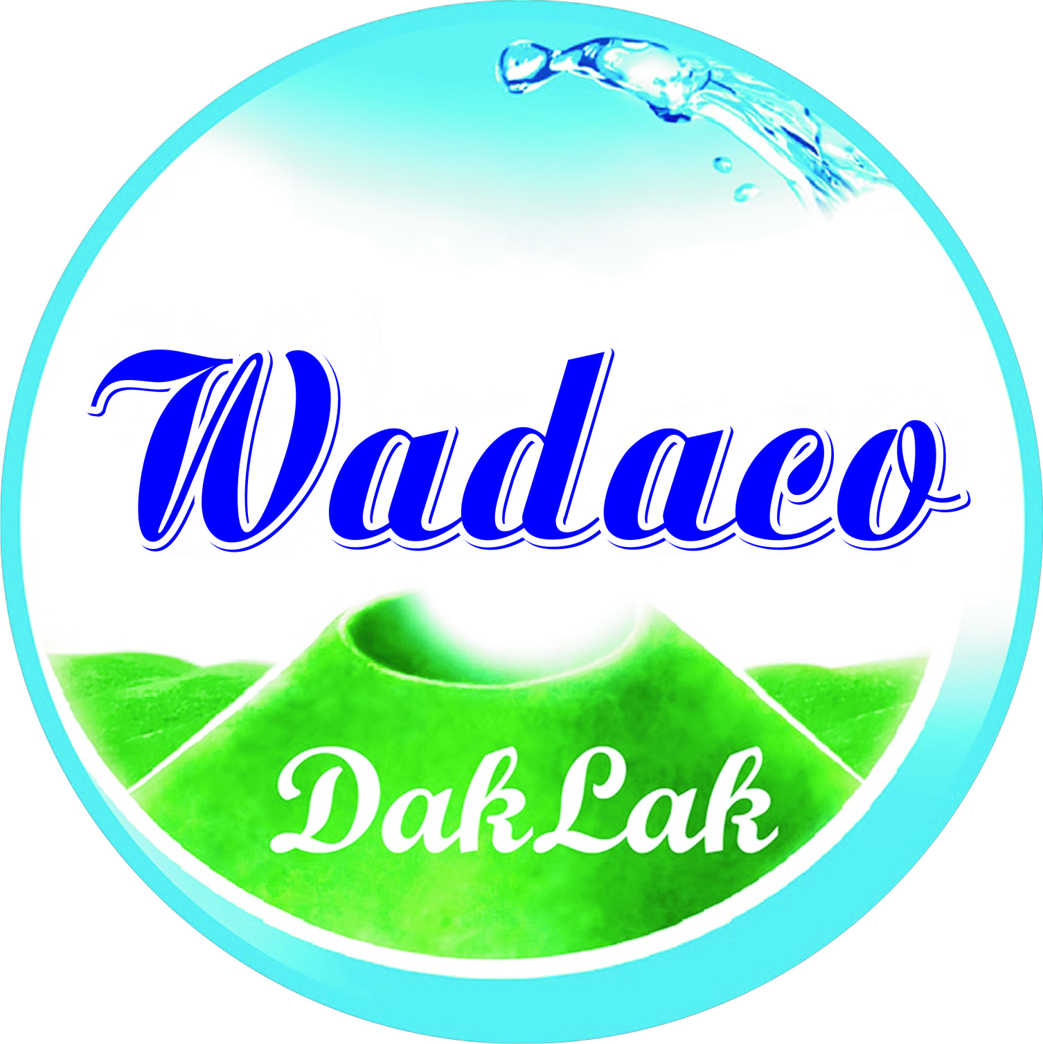 WASECODAKLAK.COM